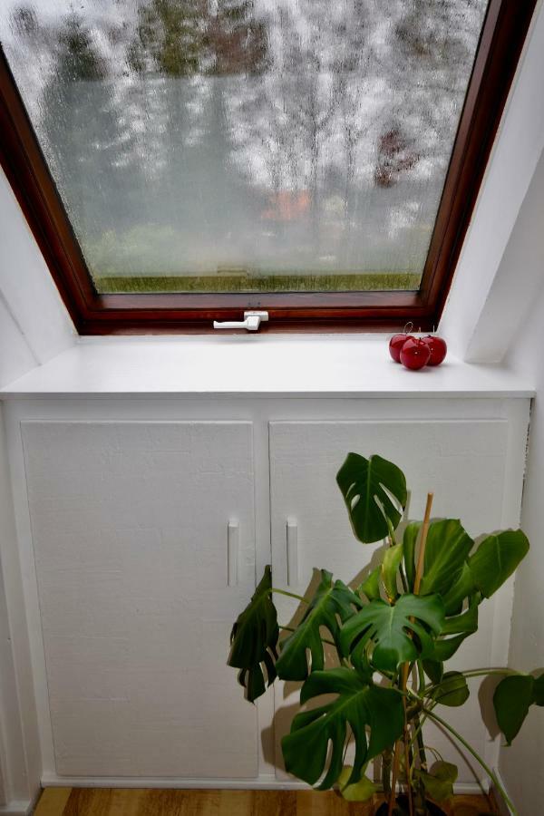 Ferienwohnung Kleine Auszeit Hagenburg エクステリア 写真